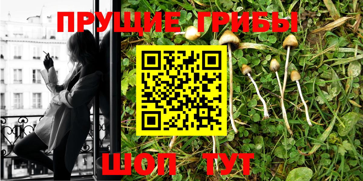 Галлюциногенные грибы Psilocybine cubensis Королёв