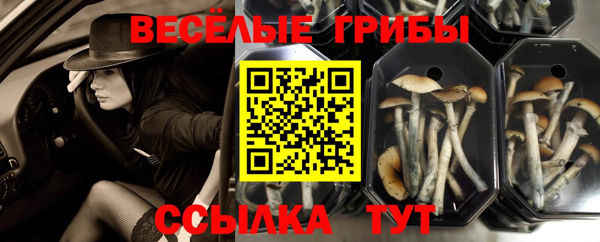 Галлюциногенные грибы мухоморы  Вход с VPN  Королёв 